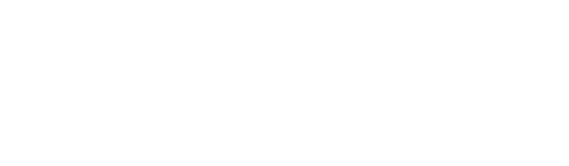 Narbo's Salón Spa Logo
